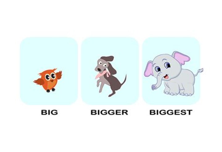 Denis Coleman searches for something bigger on 'Make Friends'