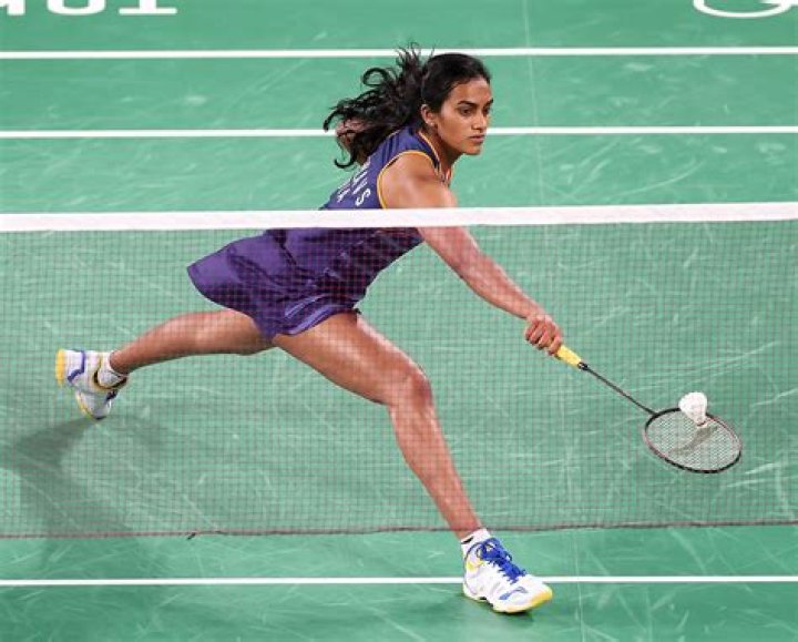 Fame | PV Sindhu net worth and salary income estimation Jan, 2024
