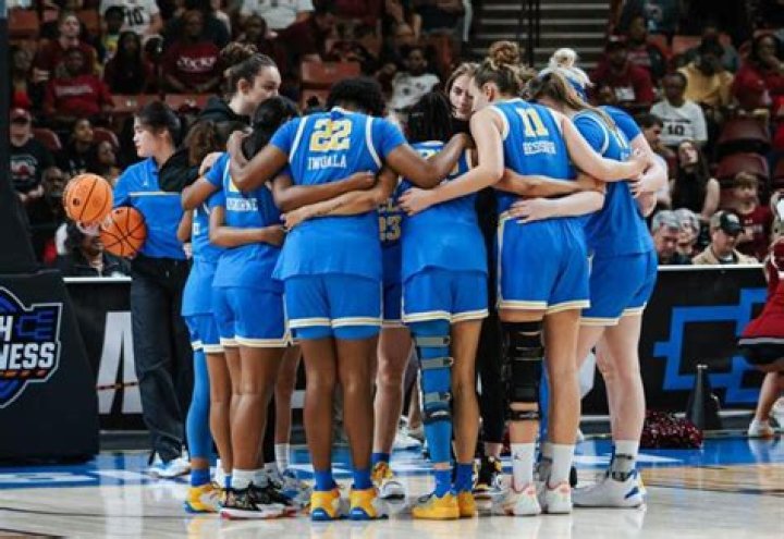 Fame | UCLA Bruins women's gymnastics net worth and salary income estimation Jan, 2024