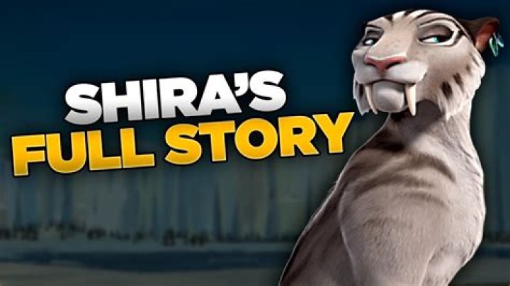 Shira Casar’s Boyfriend: Who is Shira Casar Dating?