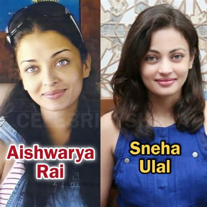 Sneha Ullal’s Boyfriend: Who is Sneha Ullal Dating?